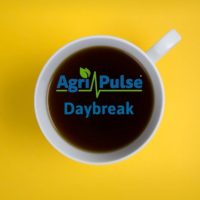 daybreakpodcastcup